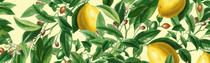 Yellow Yellow_Roanne