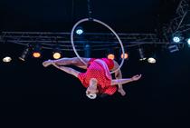 Spectacle de théâtre cirque / MC2 de Grenoble_Saint-Étienne-de-Saint-Geoirs