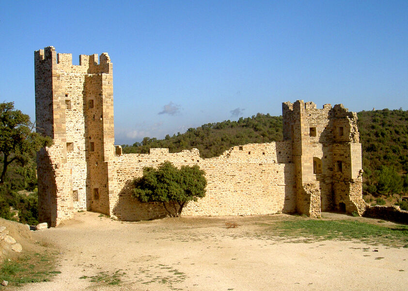 Chateau d'Hyères