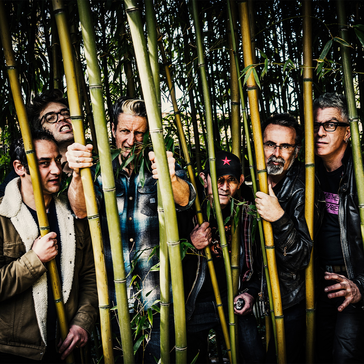 Concert - Washington Dead Cats + Spunyboys + Delirium Tremens