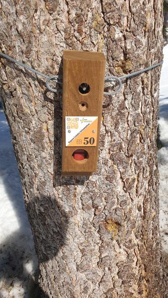 Parcours d'orientation