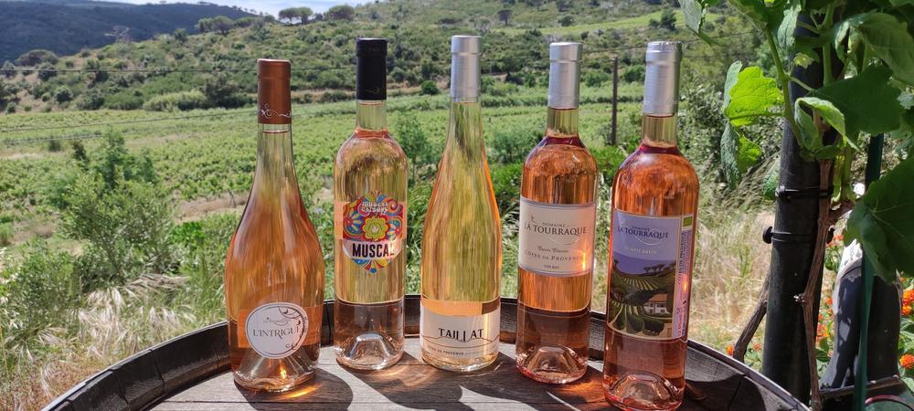 Domaine La Tourraque_Ramatuelle