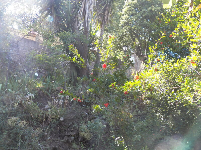 Jardin remarquable L'Hardy à Gassin - https://gassin.eu