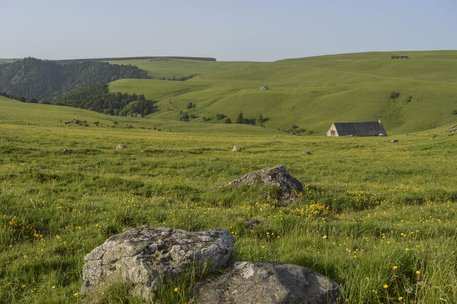The Cézallier gateway