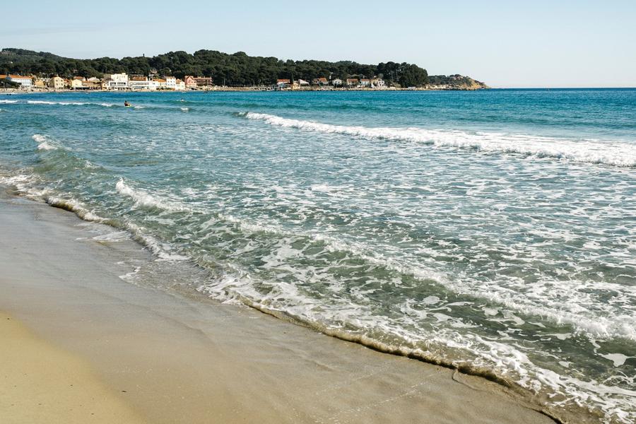 Bain du nouvel an_La Seyne-sur-Mer