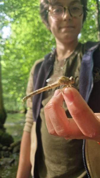 Atelier Pêche Nature du mercredi Garon_Thurins