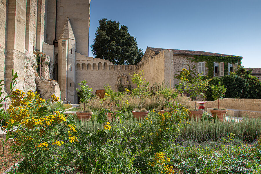 Jardins du Palais des papes
