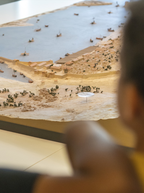 Visite en famille "Les petites bêtes du musée"