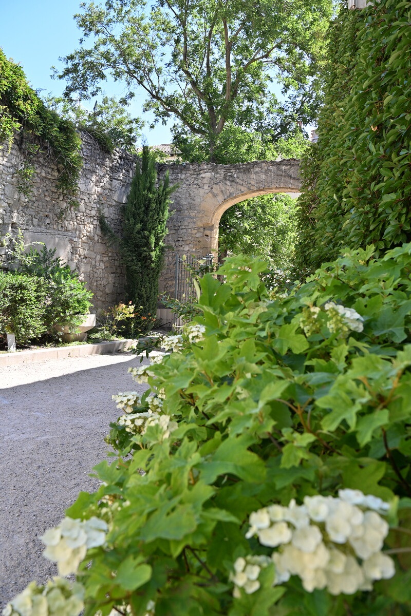 Jardin des Carmes_Avignon