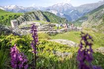 Visite commentée - Site archéologique des Brandes_Huez