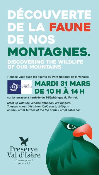 Affiche découverte de la faune de nos montagnes