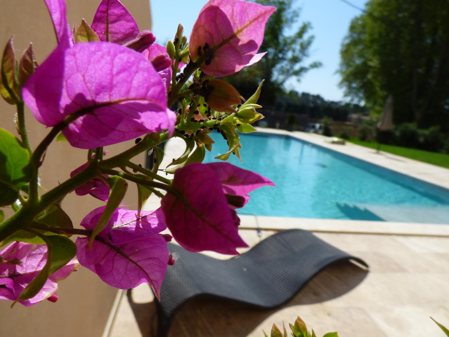 Le Mas Saint Roman - La pichoulino, Maussane-les-Alpilles - photo 2