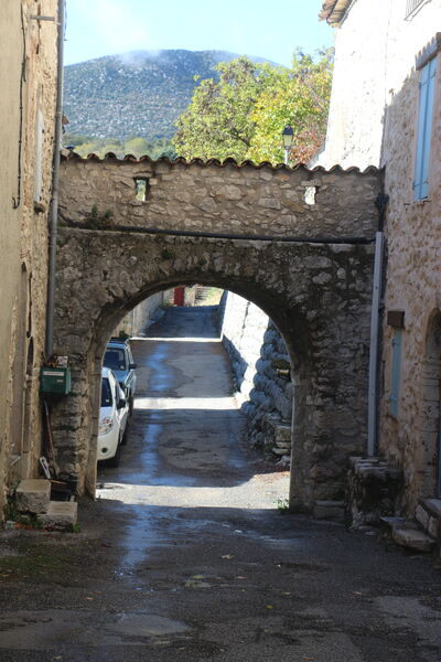 Miel des Gorges du Verdon