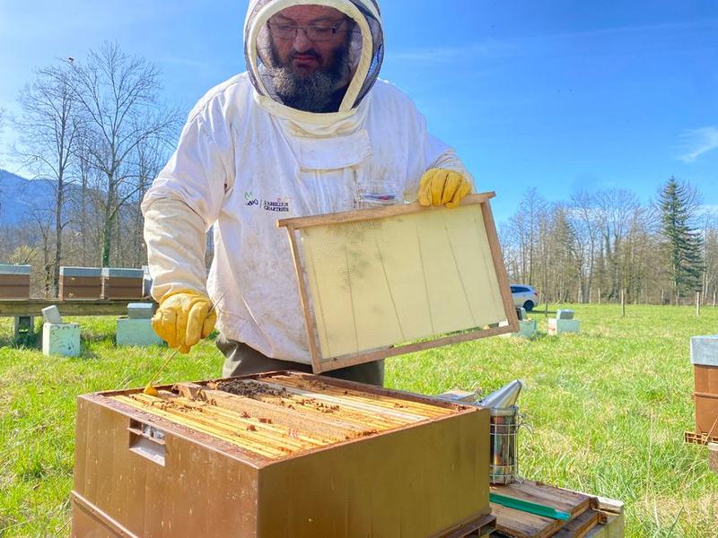 Découverte du rucher_Les Échelles