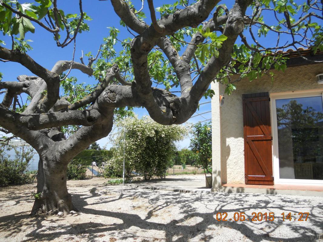 Le Figuier, Gémenos - photo 20