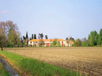 Mas des Rizières, Arles - photo 4
