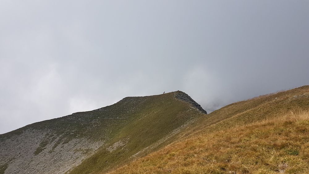 sentier pédestre : les Quatre Têtes par Doran