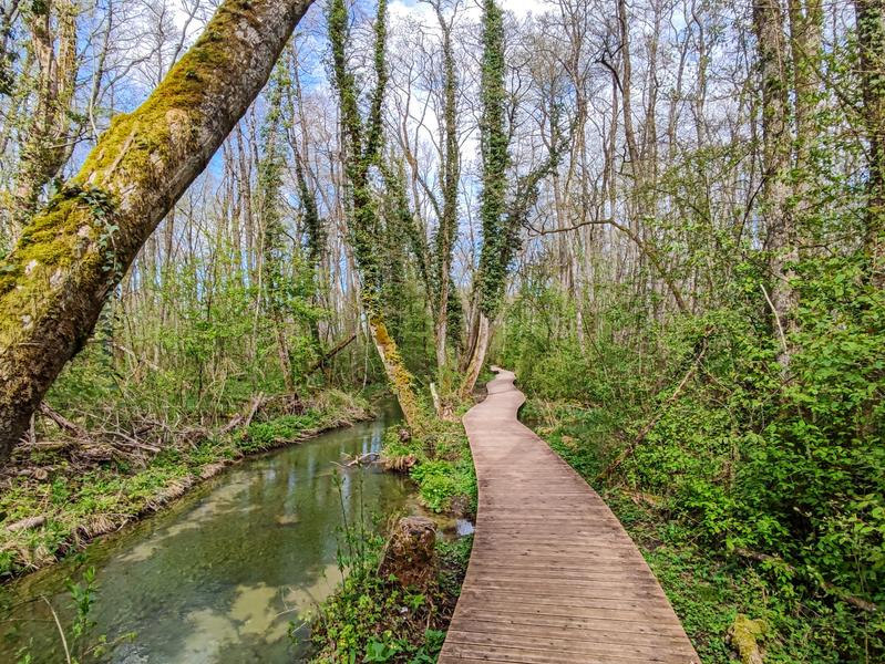 Randonnée pédestre : Marais des Bidonnes et Canal de Crans_Divonne-les-Bains
