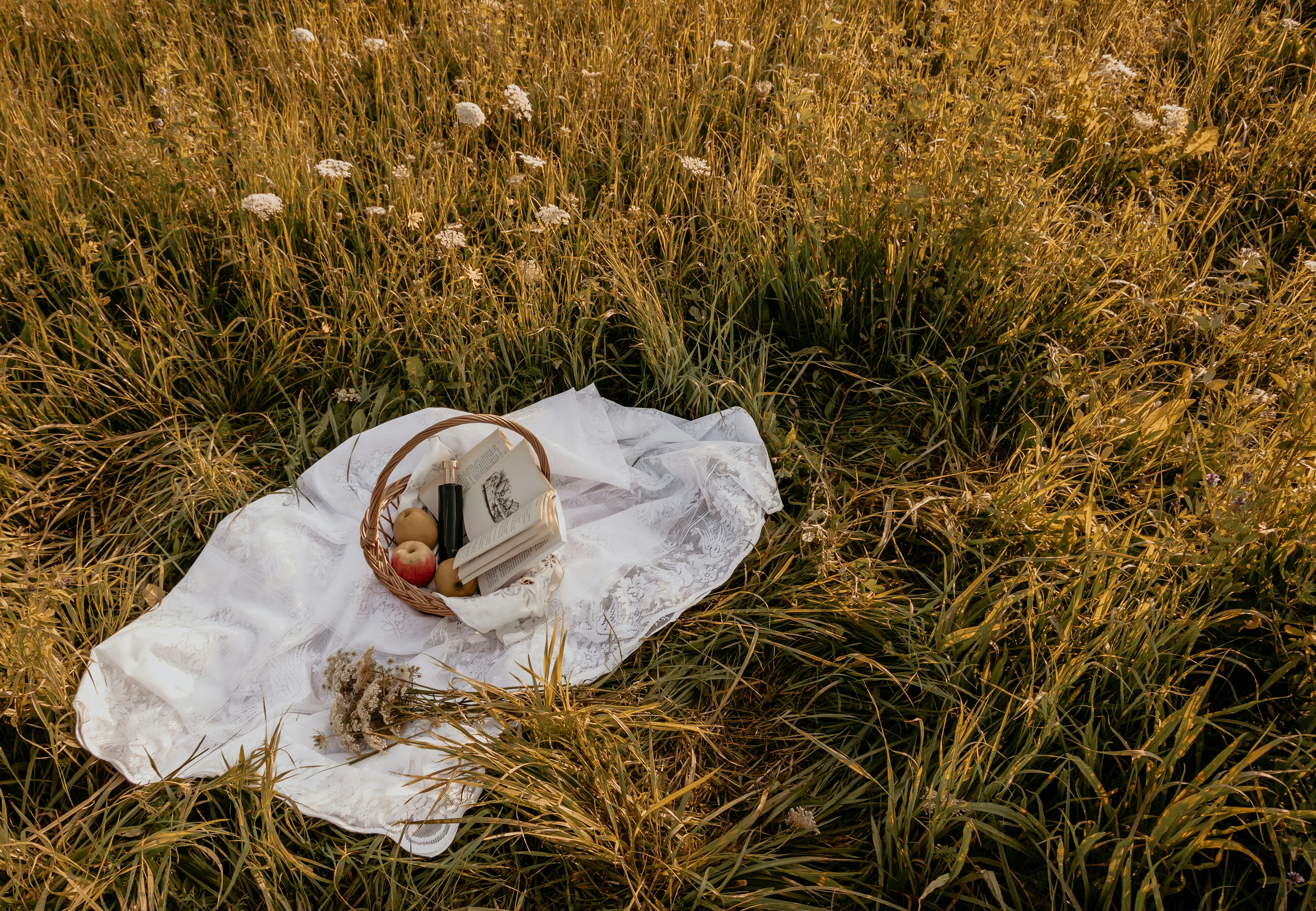 Du00e9jeuner sur l'herbe, aux origines de l'impressionnisme