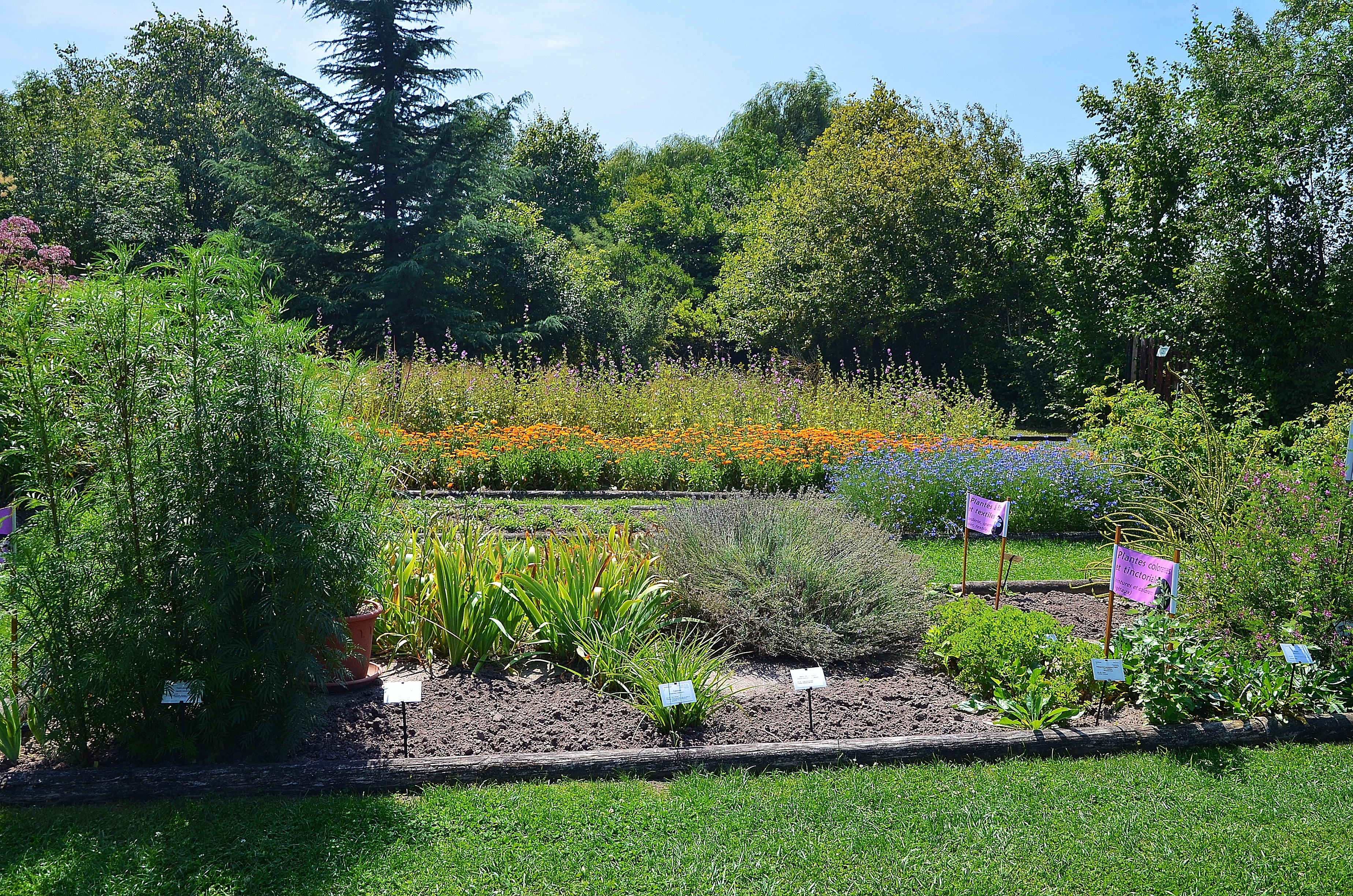 Conservatoire des Plantes