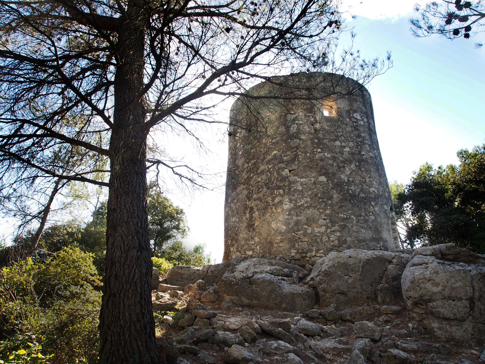 Le Sentier des Moulins d'Alphonse Daudet, Fontvieille - photo 5