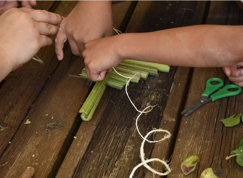 Atelier : plantes, jeux et musique verte
