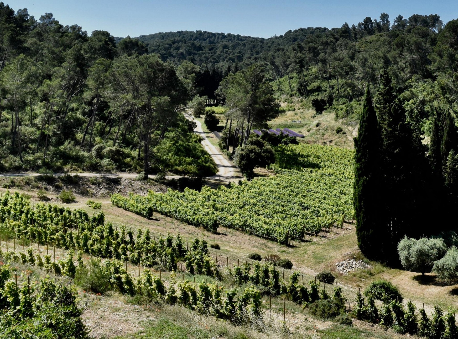 Domaine Mas de Bret