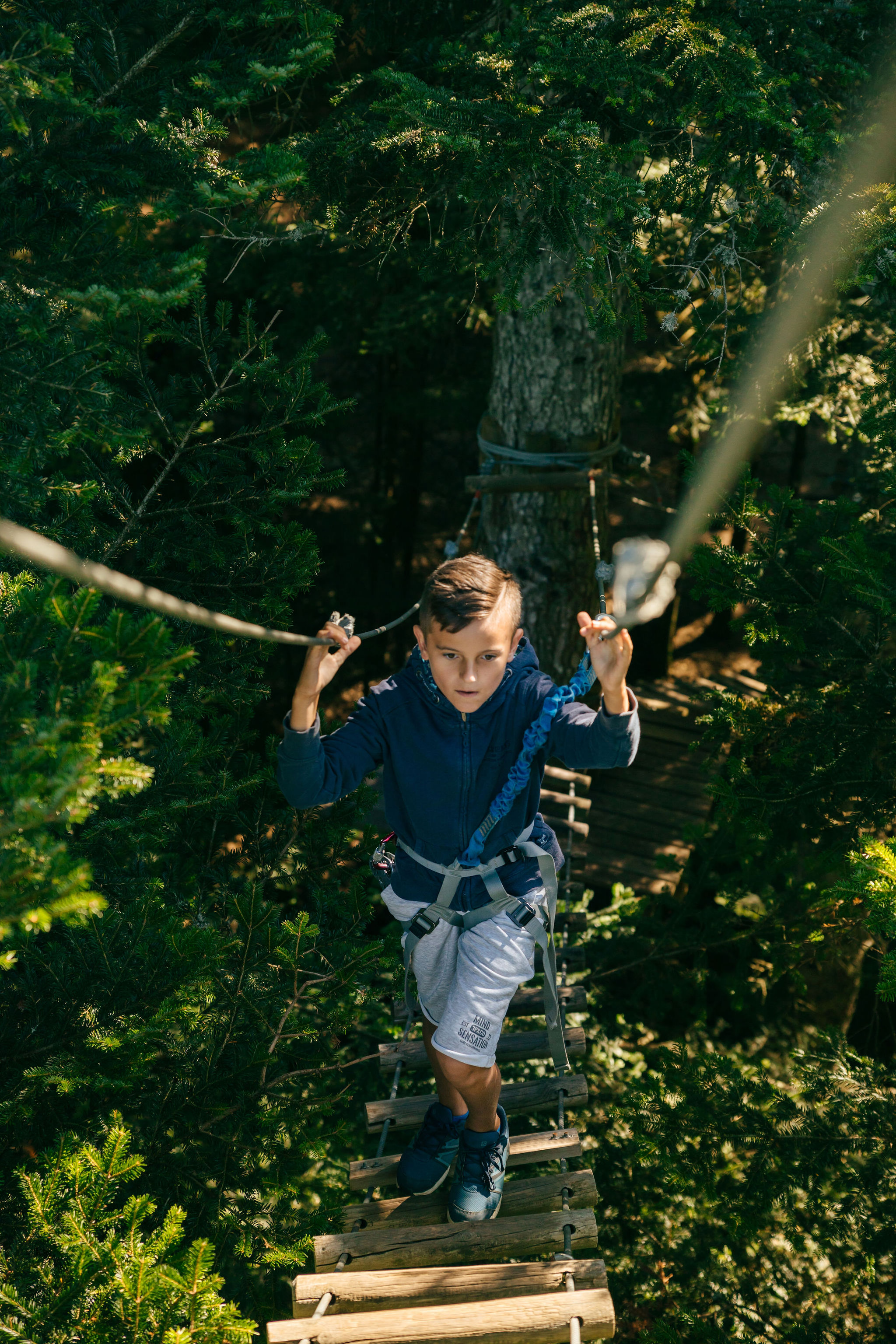 Grimper dans les arbres au Parcours Aventure de l'Écureuil