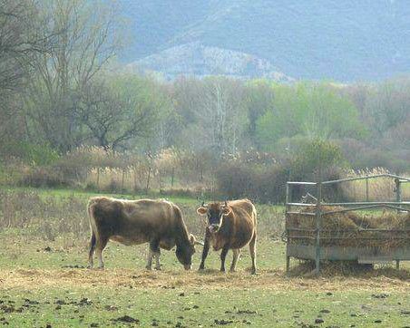 La Bastide neuve villelaure