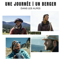Affiche film Une journée un berger dans les Alpes