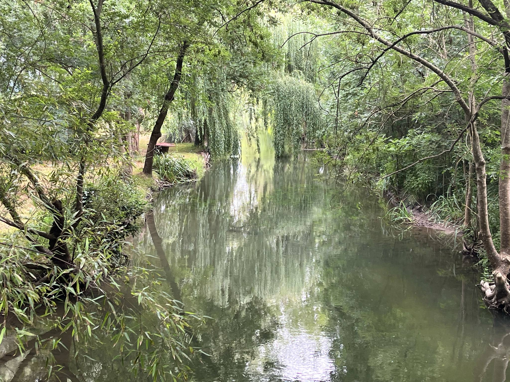 Le marais de la Seugne - Montils