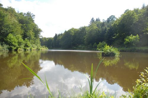 Plan d'eau la Vendenesse