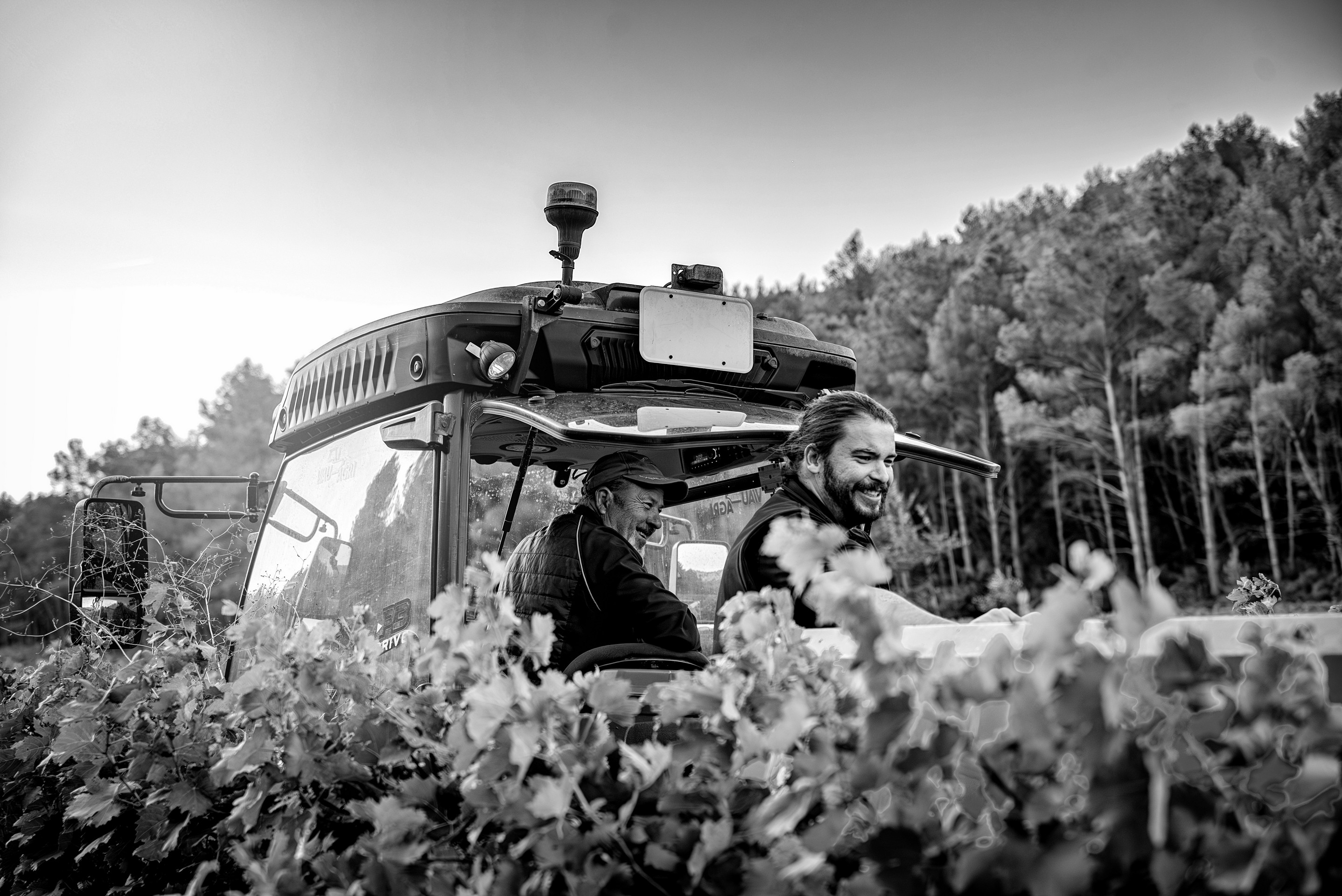 Domaine d'Eole - photo 2