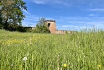 Visite guidée du centre historique de Châtillon-sur-Chalaronne