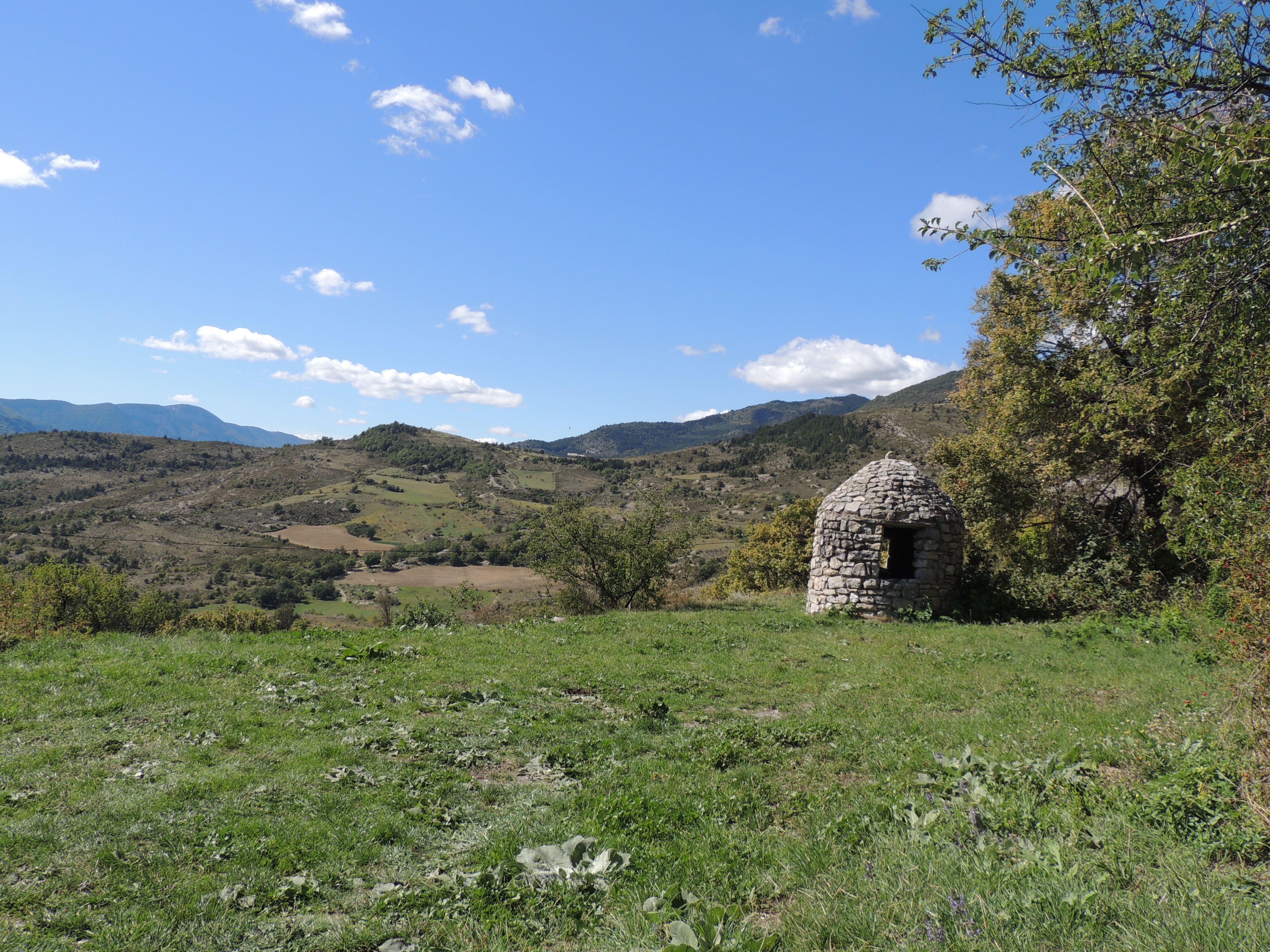 Vieux Noyers à Noyers sur Jabron