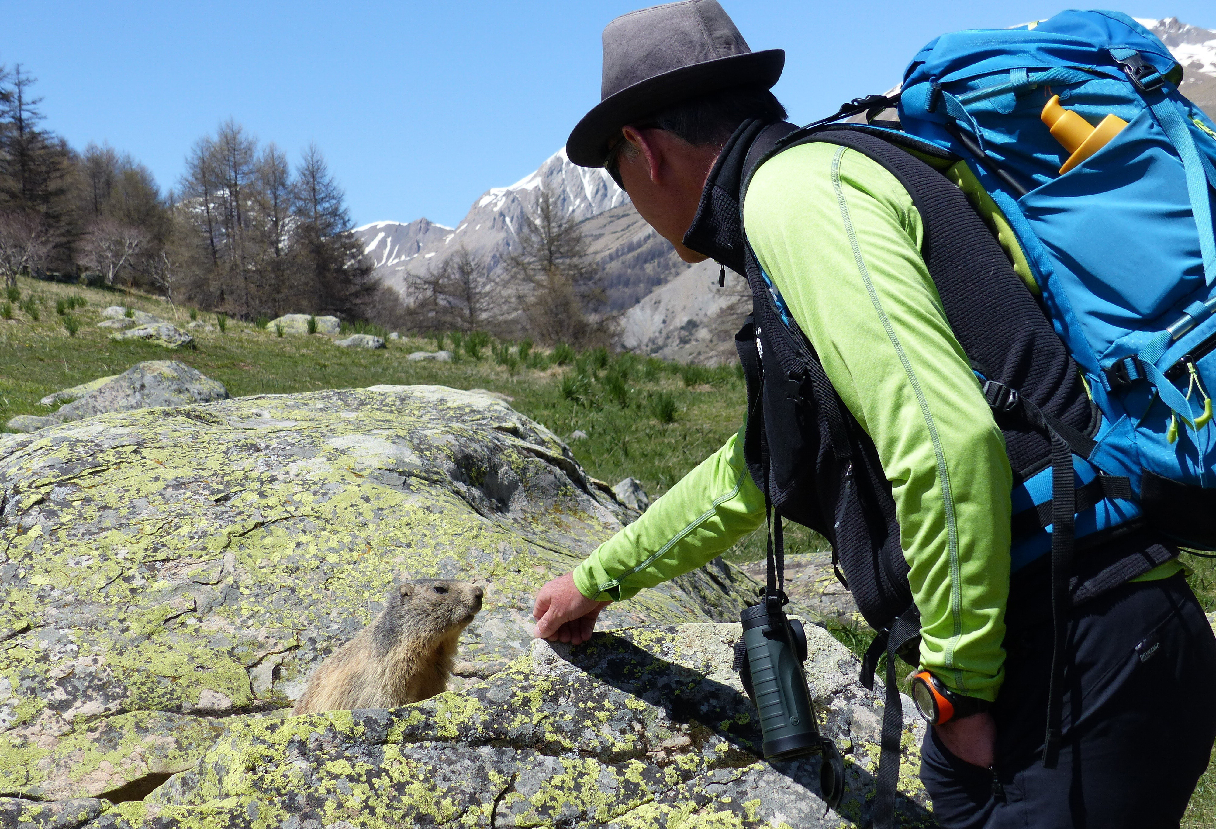 Randonnée avec Montagne Attitude