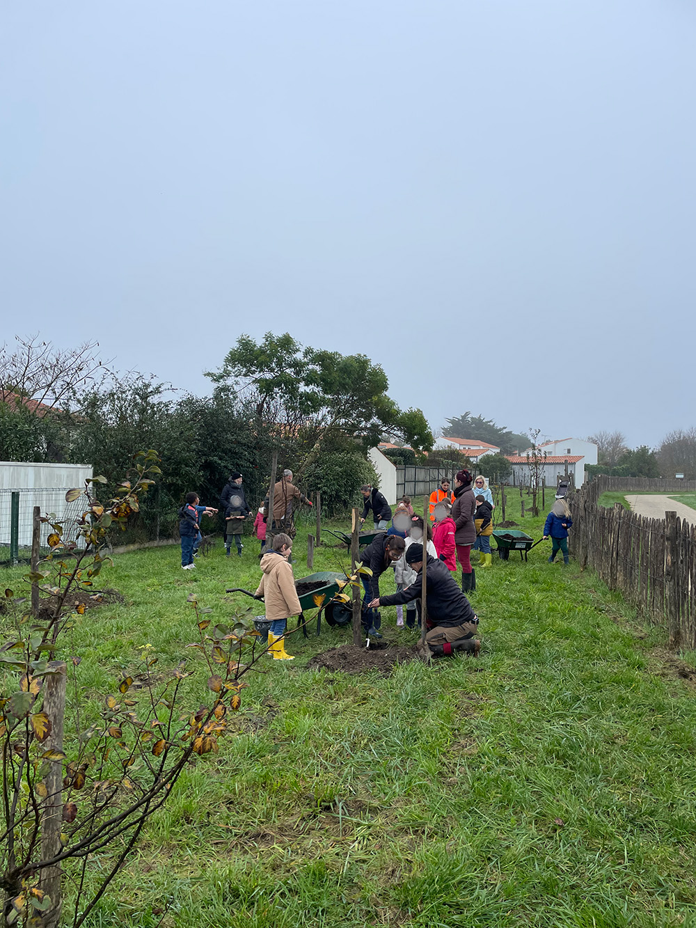 Semaine de l'Arbre et du Paysage : Rendez-vous au Verger !