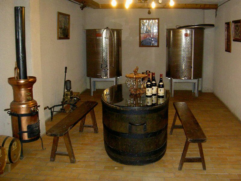 Domaine de l'églantine à Villié-Morgon