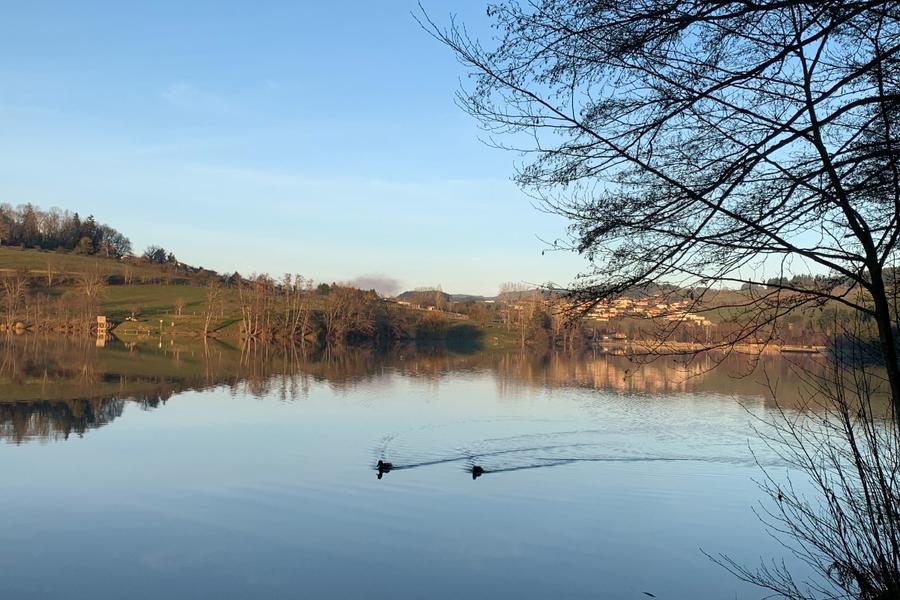 Le lac des Sapins avec vue sur Cublize,  à 15 minutes du domaine