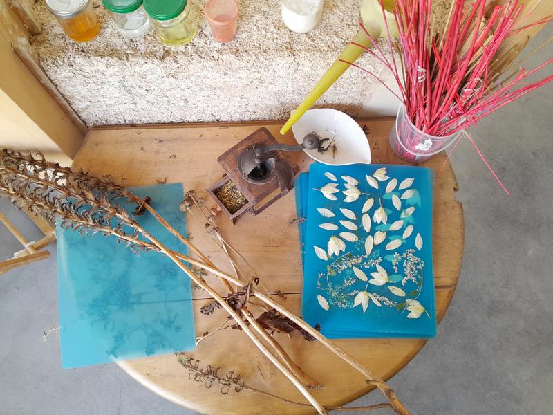 Atelier 7-12 ans - Ma plante Frankenstein