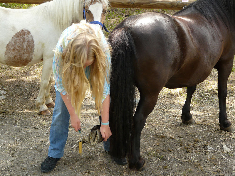 Le Fer à Cheval Peisey-Vallandry