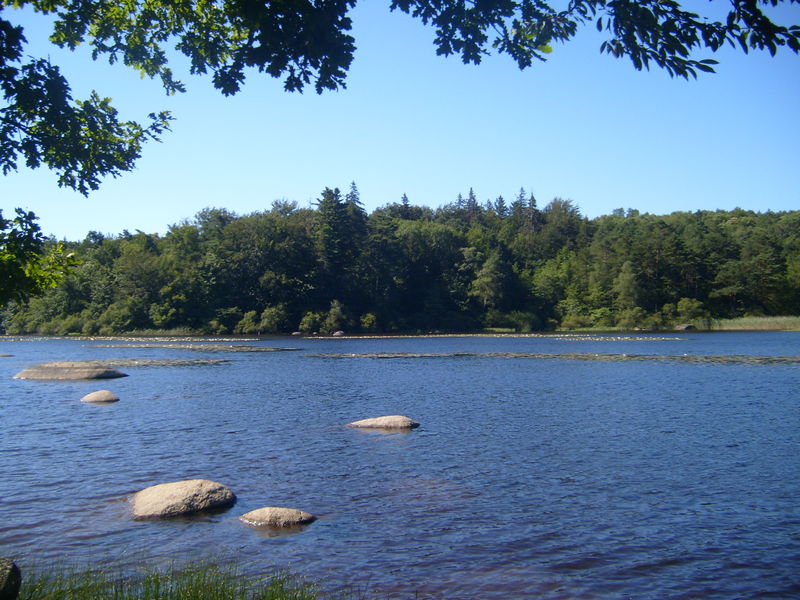 La guinguette du lac du merle