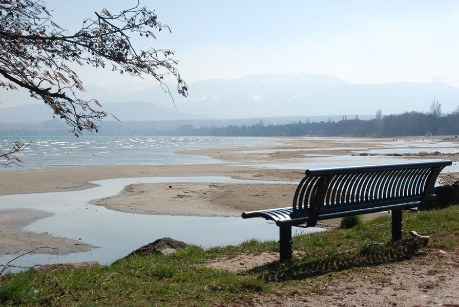 Plage en hiver lorsque le niveau du lac est abaissé
