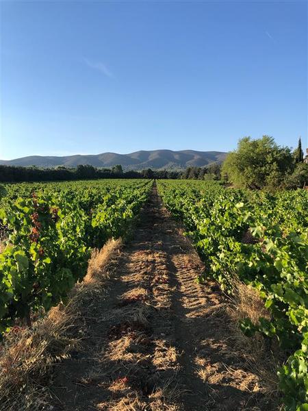 Syndicat des Vins du Luberon