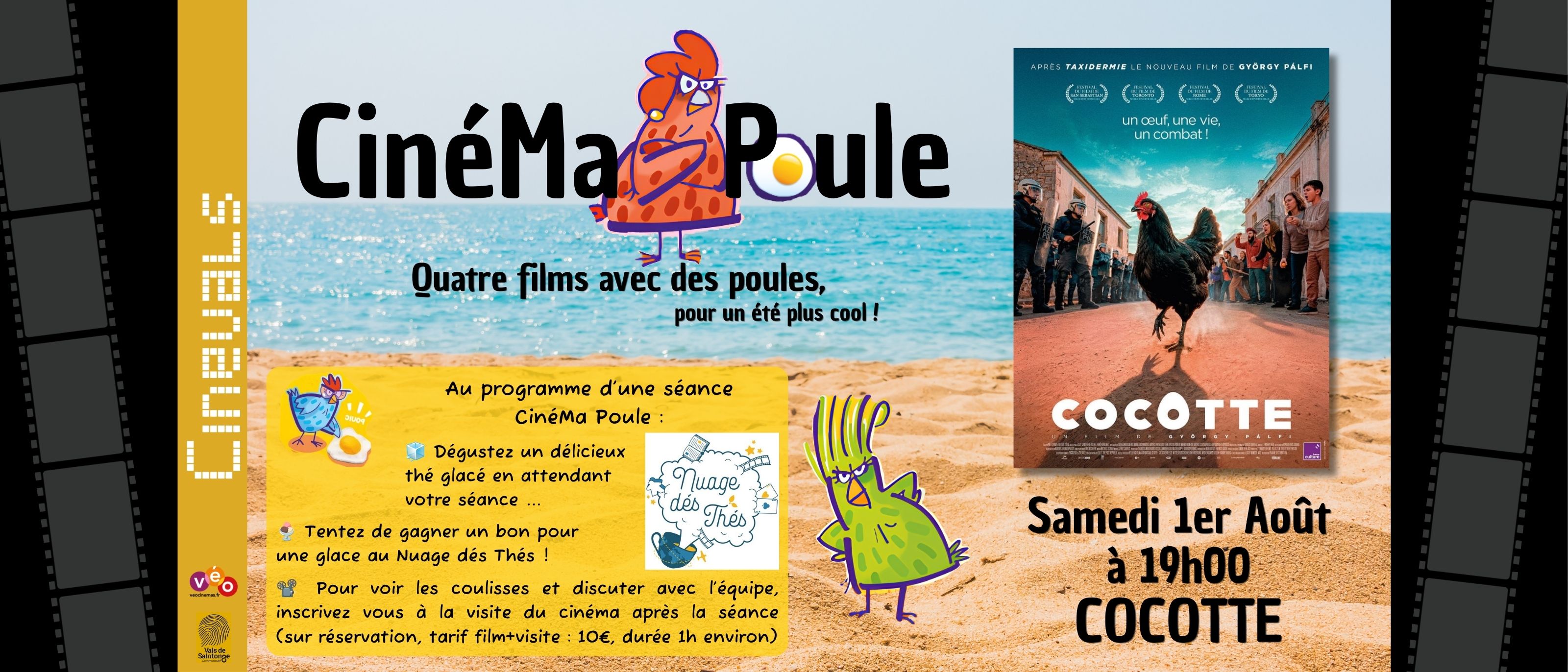 CinéMaPoule : Cocotte