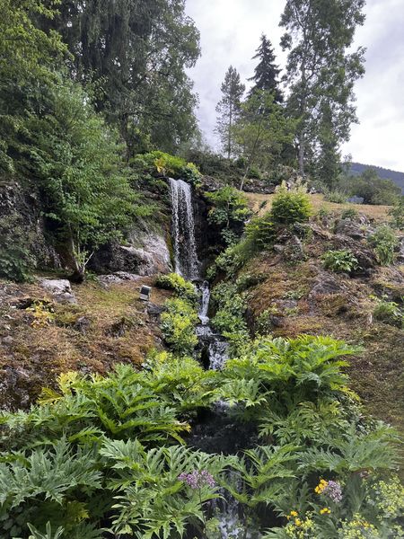 Jardin Botanique La Jaysinia - Visite Groupe