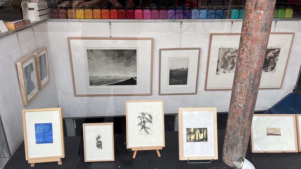 Exposition nature à l'Atelier Sobre Papel 