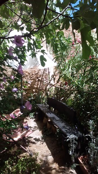 Chez Lucie : Maison Troglodyte - Cotignac