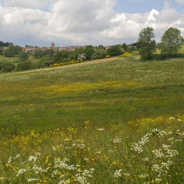 Champagnac-le-Vieux - © Jérémie Mazet - © Jérémie Mazet