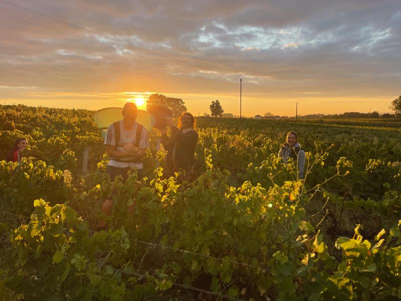 Château Gaillard_Villié-Morgon